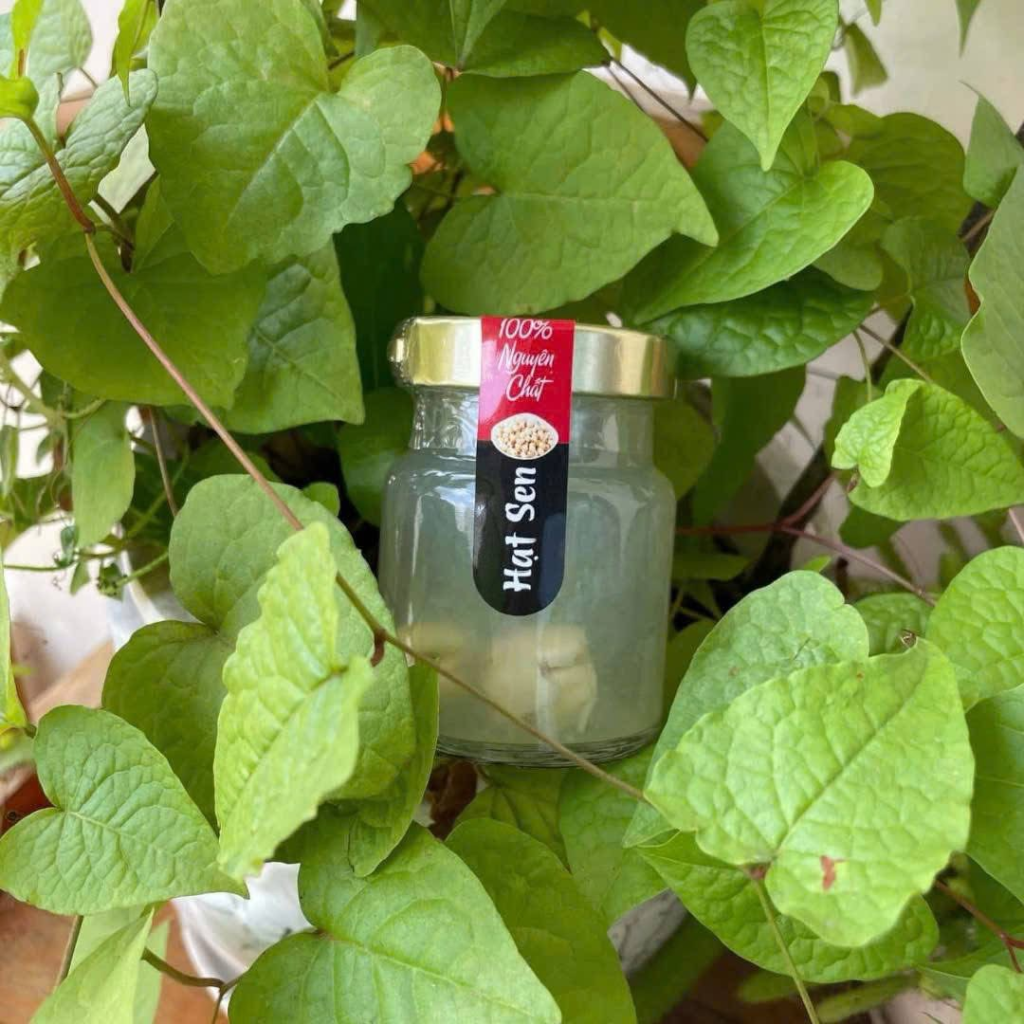 TỔ YẾN CHƯNG HẠT SEN (Chai 70ml)