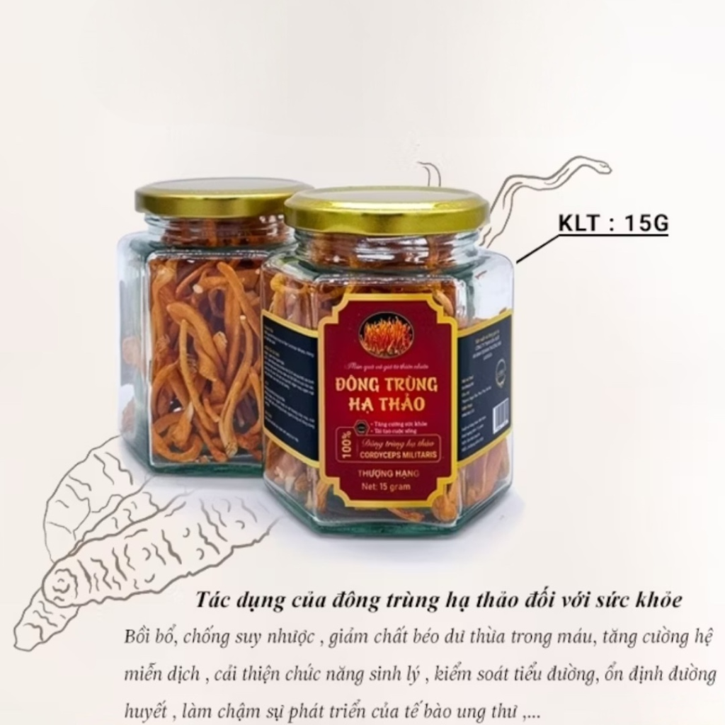 Đông trùng hạ thảo sấy thăng hoa LADOGA đóng hộp 15gr - tốt cho sức khỏe
