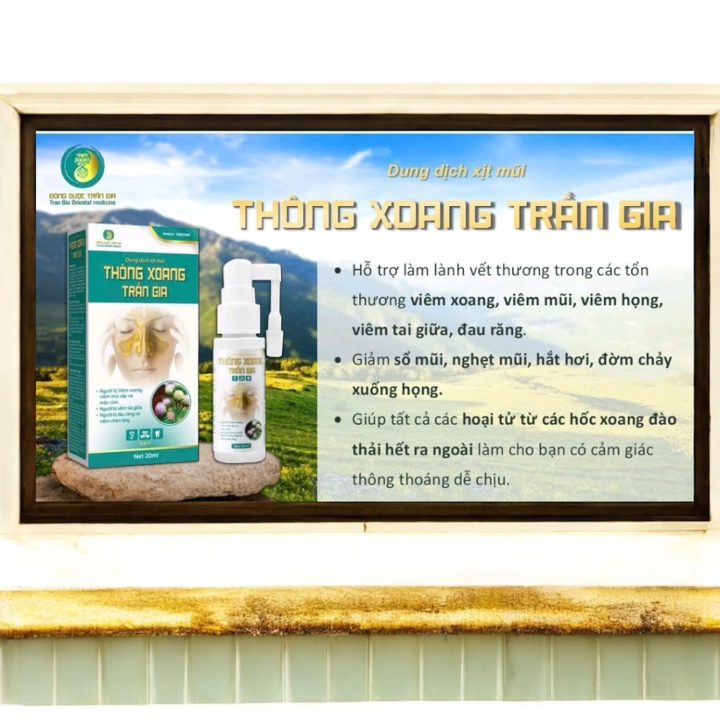 Dung Dịch Xịt Mũi THÔNG XOANG TRẦN GIA