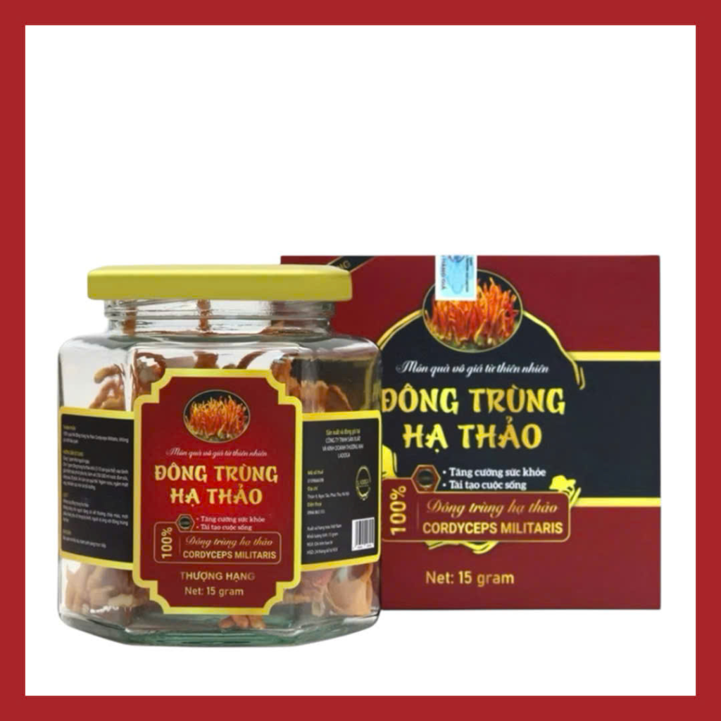 Đông trùng hạ thảo sấy thăng hoa LADOGA đóng hộp 15gr - tốt cho sức khỏe