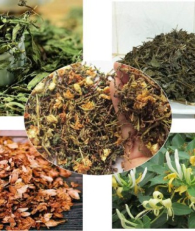 Trà dây thảo mộc hồng sâm có tác dụng gì? Công dụng và Đối tượng