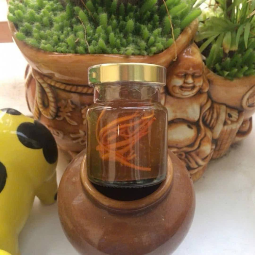 TỔ YẾN CHƯNG ĐÔNG TRÙNG (Chai 70ml)