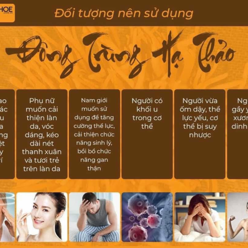 Đông trùng hạ thảo sấy thăng hoa LADOGA đóng hộp 10gr - tốt cho sức khỏe