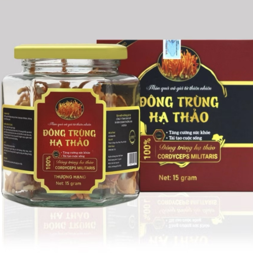 Đông trùng hạ thảo sấy thăng hoa LADOGA đóng hộp 15gr - tốt cho sức khỏe