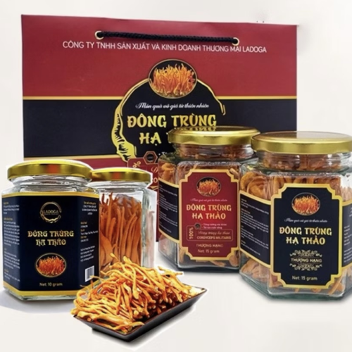 Đông trùng hạ thảo sấy thăng hoa LADOGA đóng hộp 15gr - tốt cho sức khỏe