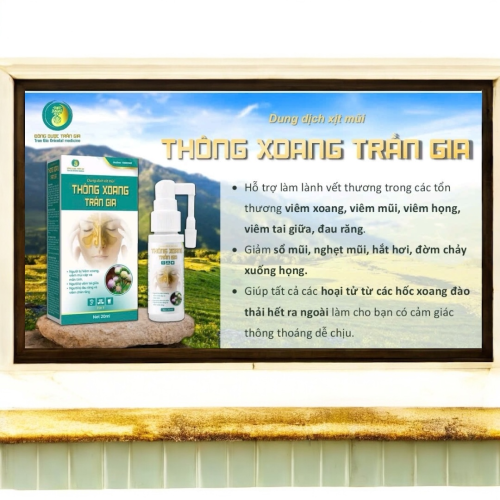Dung Dịch Xịt Mũi THÔNG XOANG TRẦN GIA