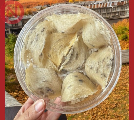 YẾN THÔ LOẠI 1 (Hộp 100gr)