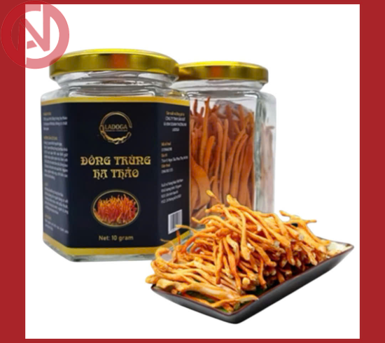 Đông trùng hạ thảo sấy thăng hoa LADOGA đóng hộp 10gr - tốt cho sức khỏe
