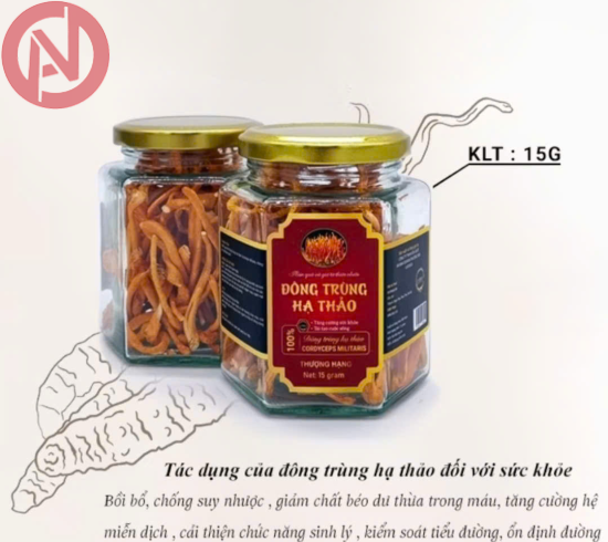 Đông trùng hạ thảo sấy thăng hoa LADOGA đóng hộp 15gr - tốt cho sức khỏe