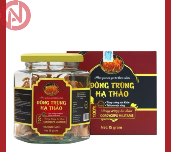 Đông trùng hạ thảo sấy thăng hoa LADOGA đóng hộp 15gr - tốt cho sức khỏe